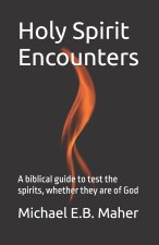 Holy Spirit Encounters: A biblical guide to test the spirits, whether they are of God