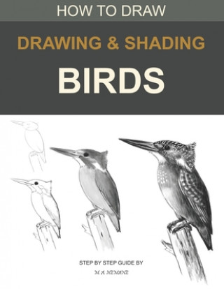 Drawing and shading Birds