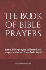 Book of Bible Prayers
