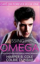 Missing His Omega: A Non-shifter Alpha/Omega Mpreg Romance
