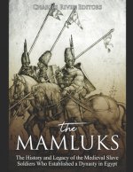 The Mamluks: The History and Legacy of the Medieval Slave Soldiers Who Established a Dynasty in Egypt