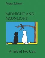 Midnight and Moonlight: A Tale of Two Cats