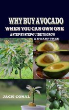 Why Buy Avocado When You Can Own One: A Step by Step Guide to Grow & Dwarf Tree
