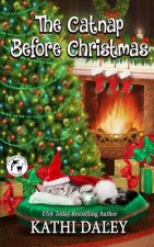 Catnap Before Christmas