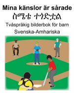 Svenska-Amhariska Mina känslor är s?rade/ስሜቴ ተጎድቷል Tv?spr?kig bilderbok för barn
