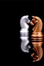 Starting Out; Understand the secrets of minor pieces by practice: Solve 260 chess endgames