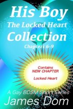 His Boy: The Locked Heart Collection: A Gay BDSM Short Story Series