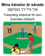 Svenska-Jiddisch Mina känslor är s?rade Tv?spr?kig bilderbok för barn