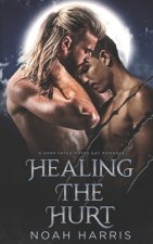 Healing the Hurt: A Dark Fated Mates Gay Romance