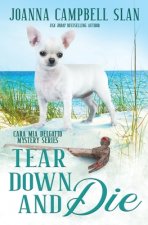 Tear Down and Die: Book #1 in the Cara Mia Delgatto Mystery Series