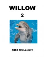 Willow 2