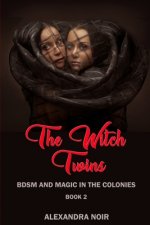 The Witch Twins: You've Heard about Salem