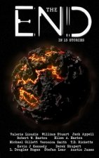 The End in 13 Stories