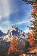 Calendario annuale 2020: ♦ Manuale dell'organizzatore pratico per il 2020 ♦ Anteprima di 12 mesi ♦ 52 pianificatore settimana