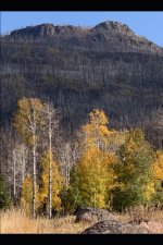 A Dozen Poems Each: for Half-a-Dozen Dates from Three Weeks in Early Autumn