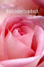 Blutzuckertagebuch: Blutzuckerpass zum täglichen Erfassen des Blutzuckers - Für Diabetiker - Format 6 x 9 Zoll - Blutzuckerspiegel im Über