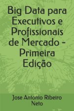 Big Data para Executivos e Profissionais de Mercado - Primeira Edicao