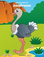 Livro para Colorir de Avestruzes