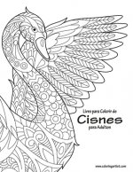 Livro para Colorir de Cisnes para Adultos