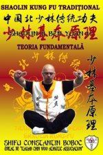 Shaolin Teoria Fundamentală