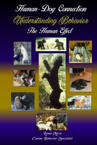 Understanding Behavior: The Human Effect