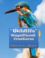 Wildlife Magnificent Creatures: Grayscale coloring