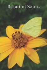 Beautiful Nature: For School and Notes, Gifts, 6