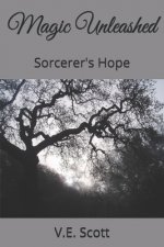 Magic Unleashed: Sorcerer's Hope