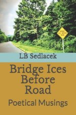 Bridge Ices Before Road: Poetical Musings