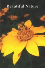 Beautiful Nature: For School and Notes, Gifts, 6