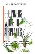 Beginners Guide to Air Plants: Guide to understanding air plants from growing to harvesting