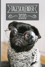 Tageskalender 2020: Terminkalender ca DIN A5 weiß über 370 Seiten I 1 Tag eine Seite I Jahreskalender I Mops I Hunde