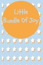 Little Bundle Of Joy: Habits, Feeding and Daily Care For Your Baby