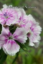 Beautiful Nature: For School and Notes, Gifts, 6