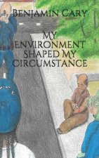 My Environment Shaped My Circumstance