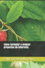 Cómo formular y evaluar proyectos de inversión.