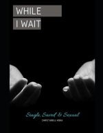 While I wait: Single, Saved & Sexual. The Healing