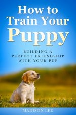 How To Train Your Puppy: Building A Perfect Friendship With Your Pup