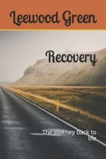 Recovery: The journey back to life