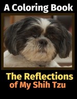 Reflections of My Shih Tzu