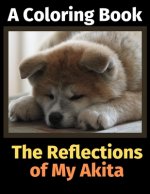 Reflections of My Akita