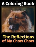 Reflections of My Chow Chow