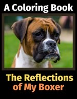Reflections of My Boxer