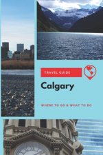 Calgary Travel Guide: Where to Go & What to Do