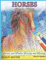 Horses Jumbo Adult Coloring Book - Horses and Ponies Grazing and Racing Color By Number