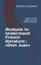Analysis to Understand French literature