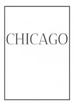 Chicago: A decorative book for coffee tables, end tables, bookshelves and interior design styling: Stack America city books to