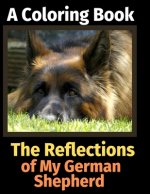 Reflections of My German Shepherd