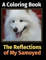 Reflections of My Samoyed