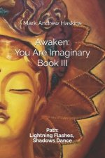 Awaken: You Are Imaginary: Book III: Path: Lightning Flashes, Shadows Dance